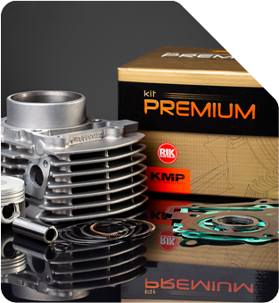 VARIEDADE DE SOLUÇÕES