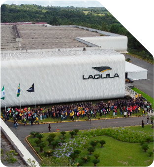 LIDERANÇA DE MERCADO